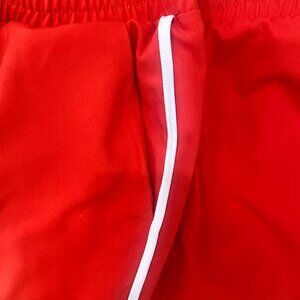 Zara Side Stripe Cropped Pants